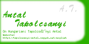 antal tapolcsanyi business card